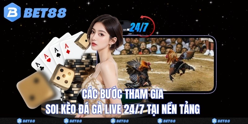 Các bước tham gia soi kèo đá gà live 24/7 tại nền tảng 