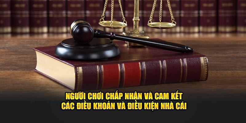 Người chơi chấp nhận và cam kết các điều khoản và điều kiện nhà cái