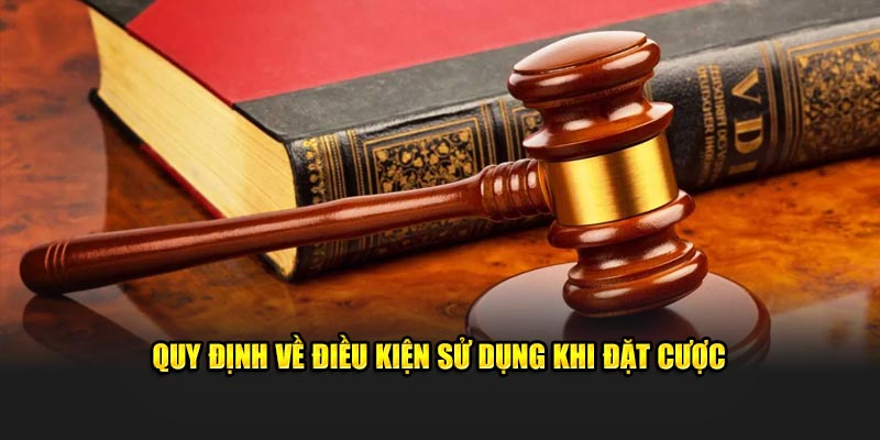 Quy định về điều kiện sử dụng khi đặt cược