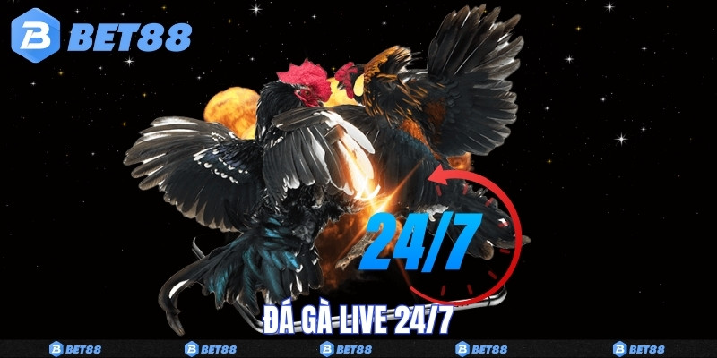 Đá Gà Live 24/7 Bet88 –  Sân Chơi Trực Tiếp Từ Campuchia