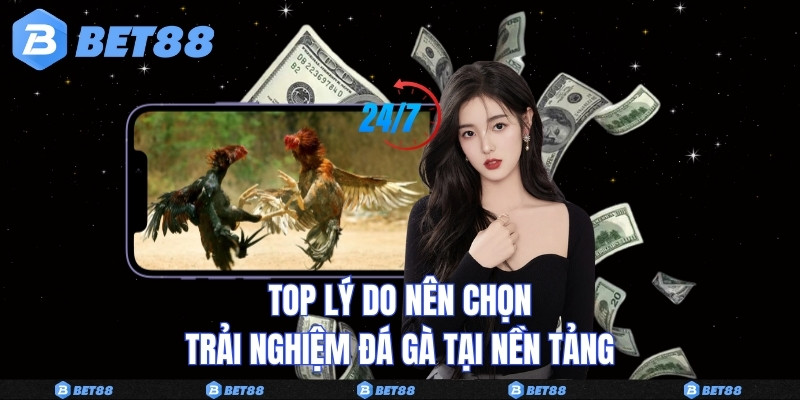 TOP lý do nên chọn trải nghiệm đá gà tại nền tảng 